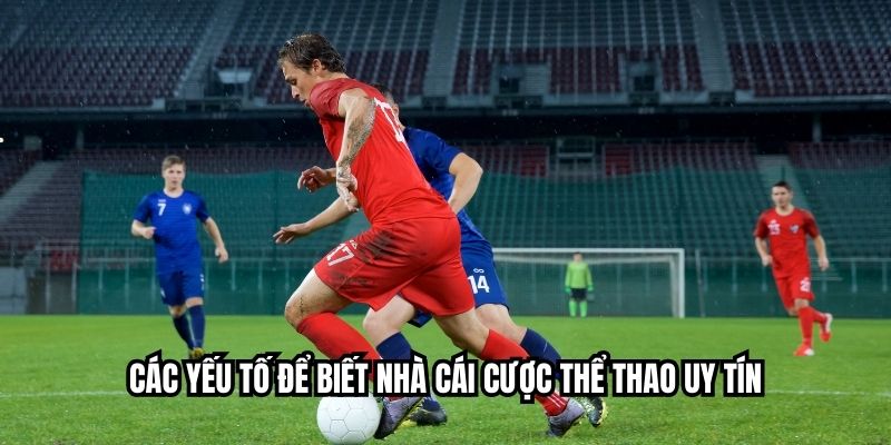 Các yếu tố để biết nhà cái cược thể thao uy tín