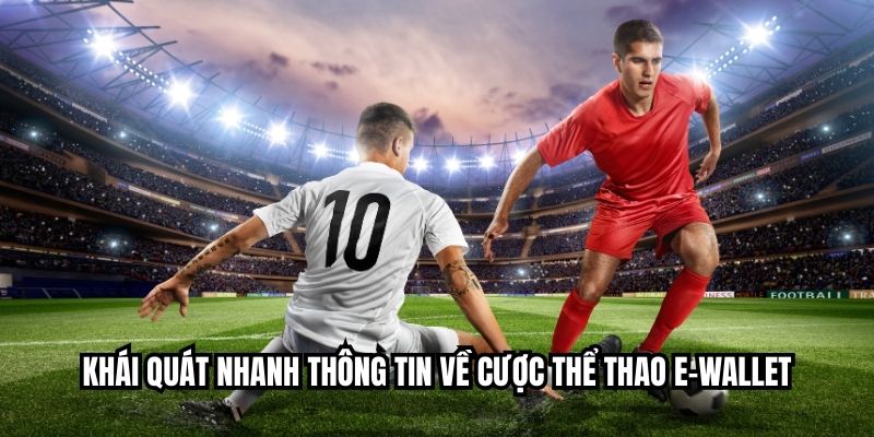Khái quát nhanh thông tin về cược thể thao e-wallet