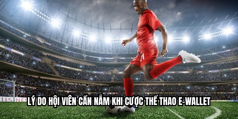 Lý do hội viên cần nắm khi cược thể thao e-wallet