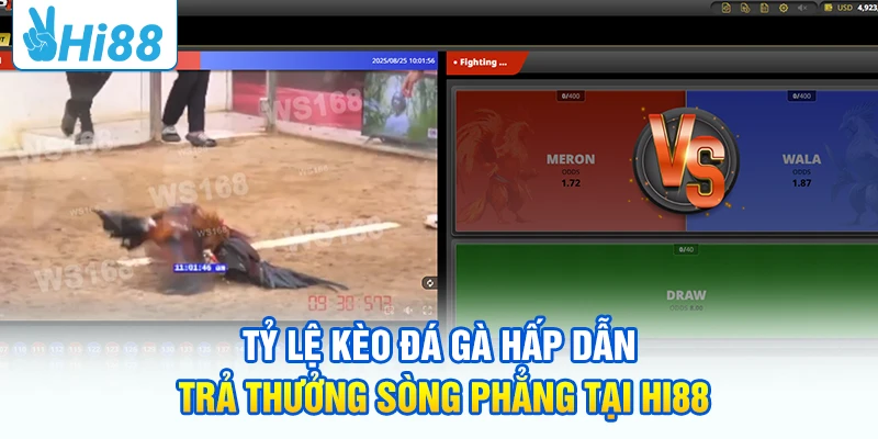 Tỷ lệ kèo đá gà hấp dẫn, trả thưởng sòng phẳng tại HI88